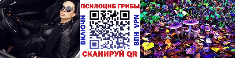 Галлюциногенные грибы Magic Shrooms  цена наркотик  Тамбов 